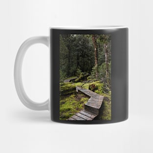 The Path Through the Myrtle Mug